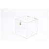 Cavinato Acrylics Urna Scatola Box Salvadanaio Plexiglass Trasparente | 30x30x30 cm