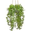 Oairse 35cm Piante artificiali da appendere, piante grasse artificiali, in vaso da appendere alla parete, per casa, cucina, giardino, ufficio, matrimonio, decorazione da parete, per interni ed esterni