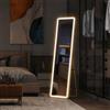 RXMORI Specchio Full Length con illuminazione RGB LED,150x40cm,Oro | Specchio da parete bombato, 3 modalità di colore regolabile,grande specchio,specchio a piedi per camera da letto e soggiorno