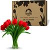 levante group - Tulipani Finti Realistici in Lattice Rosso - 24 pz in Box Regalo - Fiori Artificiali per Casa, Ufficio, Eventi