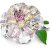 Swarovski Florere Camelia