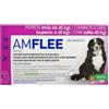 Krka farmaceutici Amflee Spot-On Antiparassitario Cani Taglia Gigante 3 Pipette