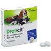 Droncit 50 mg Per Cani E Gatti 2 Compresse