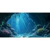 MIRRORANG 120x46cm Mondo Subacqueo Acquario Sfondo Blu Mare Corallo Sfondo Sottomarino Tema Acquario Poster