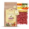 Terra Canis Selvaggina, verdure, frutta e farina di cocco - Canireo cibo secco, 2.5kg I Alimento premium per cani con ingredienti di autentica qualità human-grade al 100% I 64% di carne fresca