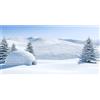 MIRRORANG 61x41cm Inverno Acquario Sfondo Abete Foresta Neve Montagna Igloo Mondo di Ghiaccio e Neve Natale Capodanno Pesce Serbatoio Sfondo Vinile Sfondo