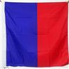 AZ FLAG Bandiera Parigi 90x90 cm Stendardo Francese Poliestere 100D Asola | Uso interno ed esterno bandiera decorativa doppie cuciture e bordi rinforzati con guaina per asta