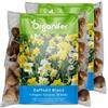 Organifer 100 Bulbi Di Fiori Di Narciso - Formato XXL 12/ 14cm | 6 Varietà Eleganti - Bulbi Di Narciso - Bulbi Di Narciso - Mix Di Bulbi Di Fiori Biologici - Organifer