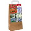 GardenersDream Bulbi dall'Olanda Mix - Tulipano Muscari Scilla Narciso Allium Bulbi Fioriti (125 Bulbi)