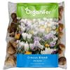 Organifer 100 Bulbi Di Zafferano - Bulbi Di Fiori XXL, Dimensione 8/ 9cm | Fiore Di Croco - Mix Di Bulbi Di Croco - Bulbi Di Fiori Biologici - Bulbi Estivi - Organifer