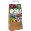 GardenersDream Mix di Bulbi da Giardino - Tulipano, Anemone, Croco, Muscari, Narciso, Allium (125 Bulbi)