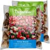 Organifer 100 Bulbi Di Tulipano - Bulbi Di Fiori XXL Misura 12cm | 5 Varietà Di Colori - Fiore Di Tulipano - Bulbi Di Tulipano - Mix Di Bulbi Di Fiori Biologici - /+ - Organifer