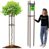 KADAX Supporto per albero da 195 cm, in legno robusto, per un fissaggio sicuro di giovani alberi e arbusti, supporto per piante in legno di faggio per giardino