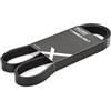 RIDEX 305P0064 Cinghia servizi Compatibilità con RENAULT Clio 3 Hatchback BR0/1, CR0/1