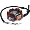 2EXTREME Statore generatore 5 bobine 12 volt compatibile con Piaggio Ape 50 TL5T TL6T