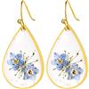 Cupimatch Myosotis - Orecchini da donna in acciaio inossidabile, con pendente a fiori secchi, fantasia, eleganti e raffinati, regalo di compleanno di San Valentino