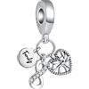 Hevdlt Ciondolo in argento Sterling 925 con zirconi 5A, per braccialetti europei, collane, gioielli, regalo per donne