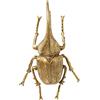 Kare Design decorazione da parete Beetle Herkules, oro, scarabeo, accessorio decorazione soggiorno, sala da pranzo, stanza da letto, idea regalo 41x14x27 cm