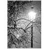 Wee Blue Coo Lonely Street Lamp - Stampa artistica da parete, colore: nero e bianco