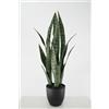 LIGUORO SHOP Sansevieria Artificiale Pianta Grassa Sintetica Realistica Foglie in Pvc per Arredare Interni e Attività Commerciali (Saveria - Sansevieria 66 cm)