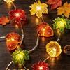 LQTSLFM 3 Meter 30 LED Stringa Luci Autunnali, Catena Luminosa Zucca Autunnale | Lucine Led Decorative Autunnale, Fata String Light Autunnale per Decorazione Autunno