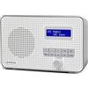 LEMEGA DR1 Radio digitale portatile DAB/DAB+ e FM,radio DAB portatile,doppio allarme,sveglia,20 preimpostate, uscita cuffie, display LCD, batterie portatili o alimentazione di rete - Grigio