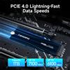 Fanxiang SSD Interno M.2 NVMe 1TB 2TB 4TB PCIe 4.0 per PS5 PC Gaming 7300 MB/s