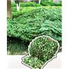 Generico Rete Mimetica Ispessita 210D, Rete Solare Woodland, Leggera Reticolato da Camuffamento per Caccia Protezione da Sguardi Indiscreti Campeggio Giardino Resistente Durevole