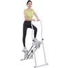 NoneDanGee Stair Stepper per esercizi in palestra a casa, portatile, pieghevole, regolabile, con display LCD, attrezzature fitness per la casa, Stairmaster per la casa, fino a 150 kg
