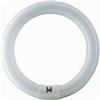GIMA LAMPADINA FLUORESCENTE 22W per SOLENORD/GIMANORD 30750-1 - ricambio