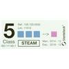 GIMA TEST STERILIZZAZIONE CLASSE 5 conf. 500 pz.