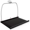 GIMA PIATTAFORMA DIGITALE WUNDER RW2.0 CON CORRIMANO 300 kg - Classe III