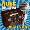 VIDB1 Calling All Blues