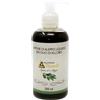 ALCHIMIA BENOIT Srl Sapone Aleppo Liquido, 250 ml