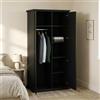 Dmora Guardaroba 2 Ante Daphne, Mobile Camera da Letto, Cabina Armadio portabiti, Armadio Appendiabiti, 96x63 h200 cm, Nero