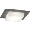 TopLight MIAMI PLUS APPLIQUE PLAFONIERA QUADRA 35CM 4 LUCI GRIGIO ANTRACITE IP54 ATTACCO GX53 CONFEZIONE DA 10 PEZZI