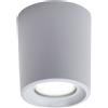 TopLight PISA PLAFONIERA PICCOLA 1 LUCE GRIGIO IP55 ATTACCO GU10 LAMPADINA INCLUSA