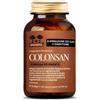 SALUGEA Colonsan 60 Capsule Vegetali