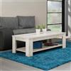 Dmora Tavolino da Salotto Safuchi 120x60x42h cm Bianco Larice Un Vano Forma Rettangolare, Sfumatura Colore Ripiano Larice