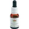 BUSH BIOTHERAPIES Pty Ltd ALPINE MINT AUSTRALIAN 15MLGTT