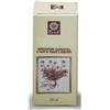 ECOL Sas Ginkgo biloba estratto analcolico 50 ml