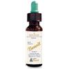 ALCHIMIA BENOIT Srl Fiori di bach benoit gentian 10 ml