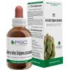 FORZA VITALE ITALIA Srl Psc aesculus hippocastanum gocce 15 ml