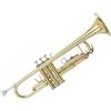 GRASSI STR500 TROMBA SIB LACCATA