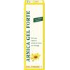 NATURWAREN ITALIA SRL Theiss Arnica Gel Forte 100 Ml