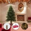 Enzo De Gasperi EDG Enzo de Gasperi Offerta Albero di Natale Pino Luxury 210 cm + Base Tronco + 500 Miniled + Borsa