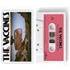 Super Easy Pick-Up Full Of Pink Carnations