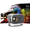 OEM Mini proiettore, risoluzione 1280x720 dpi, 350 lumen ANSI, potenza di 65W, proiezione da 30 a 150 pollici, design rotante a 360°