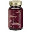 PRODECO PHARMA Srl PRODECO INSYN GSE EVO 60CPS