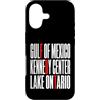 Gulf Of Mexico Lake Ontario Kennedy Cent Custodia per iPhone 17 Funny